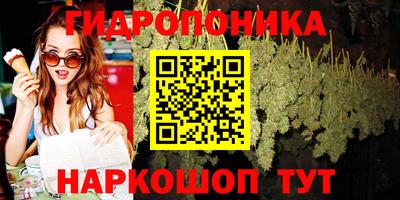 шишки Первоуральск