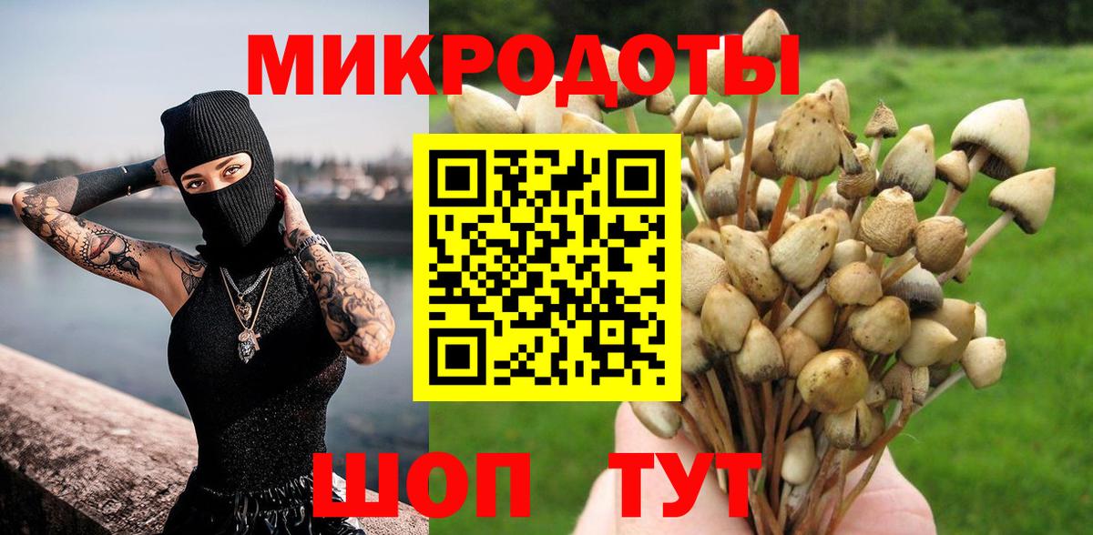 Псилоцибиновые грибы мицелий Тихорецк
