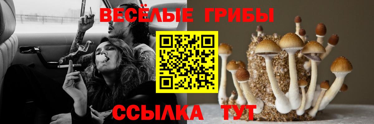 Тихорецк  Галлюциногенные грибы MAGIC MUSHROOMS  Вход с VPN 